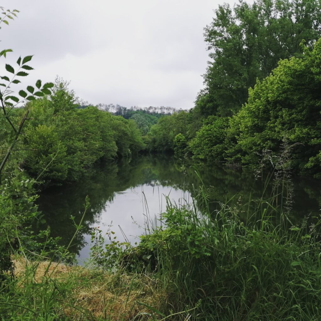 Séance de sophrologie dans les Landes